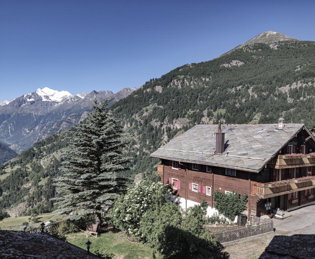 Berghotel Weisshorn Törbel Exterior foto
